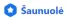 saun_logo
